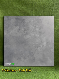 Gạch Vân Xi Măng 80x80 Cm Apodio 88602 Mờ Tinh Thể