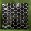 Gạch 30x30 Cm Điểm Nhấn Màu Đen Hình Lục Giác STSG303017