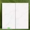 Gạch 40x80 Cm Apodio 1060 Màu Trắng Vân Đá Mờ Mịn
