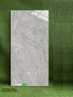 Gạch 600x1200 Viglacera CLGP61209 Bóng