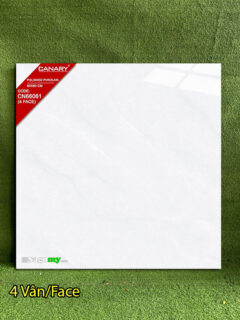 Gạch 60x60 Cm TTC Canary 66061 Bóng