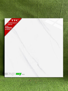Gạch Lát Nền 60x60 Cm TTC 66065 Trắng Bóng