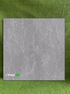 Gạch Lát Nền 60x60 Cm Apodio A66SG601 Xám Đậm