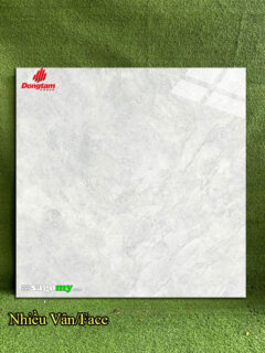 Gạch Lát Nền 60×60 Cm Đồng Tâm TRANGAN004 Xám Nhạt