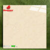 Gạch 60x60 Cm Đồng Tâm HAIVAN003