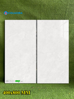 Gạch Viglacera 40x80 Cm 4861GP Màu Xám Nhạt